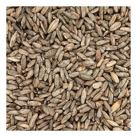 Briess Rye Malt 5lb brown brew ready shows versatile malt for experiments.