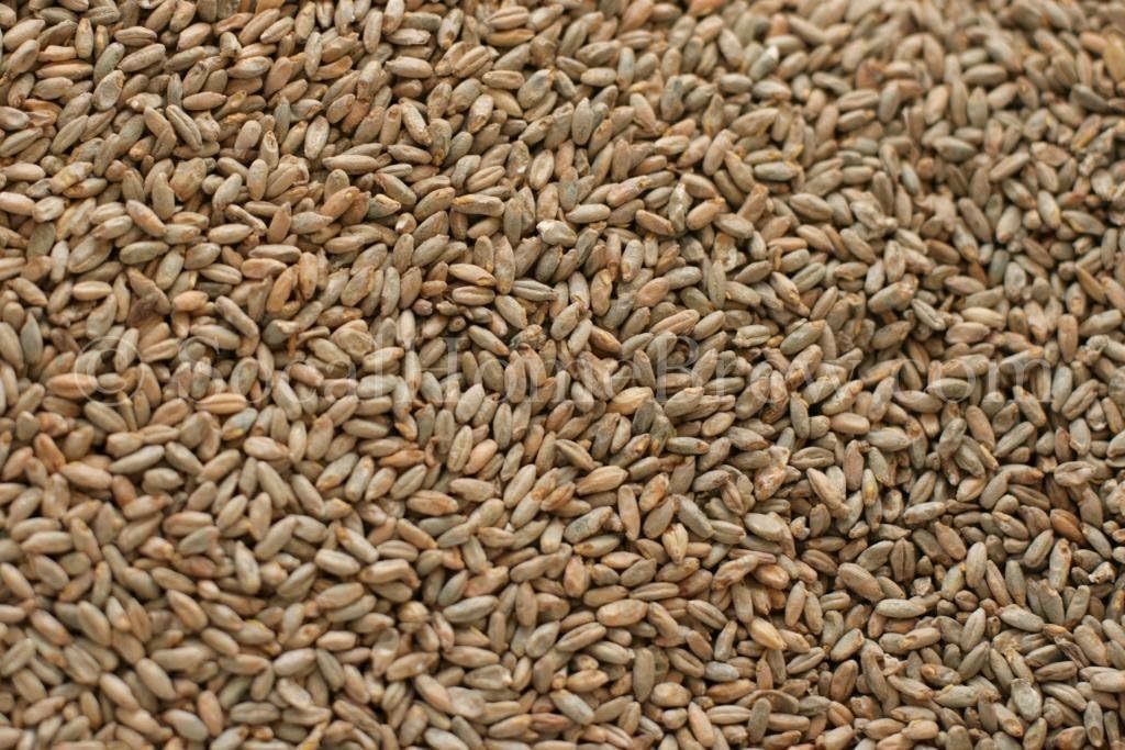 Briess Rye Malt 5lb brown label indicates origin and model Briess-Rye-5lb.