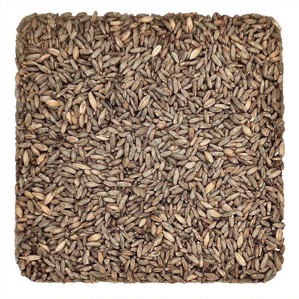Briess Rye Malt 5lb brown malt in bowl invites brewing sessions and recipe testing.