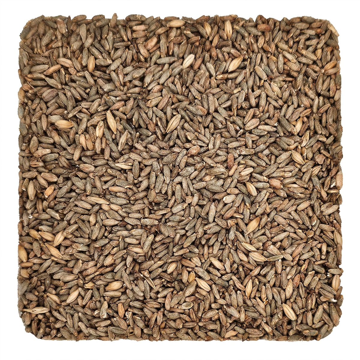 Briess Rye Malt 5lb brown packaging shows premium malt ready for brewing experimentation.