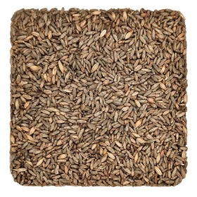 Briess Rye Malt 5lb brown packaging shows premium malt ready for brewing experimentation.