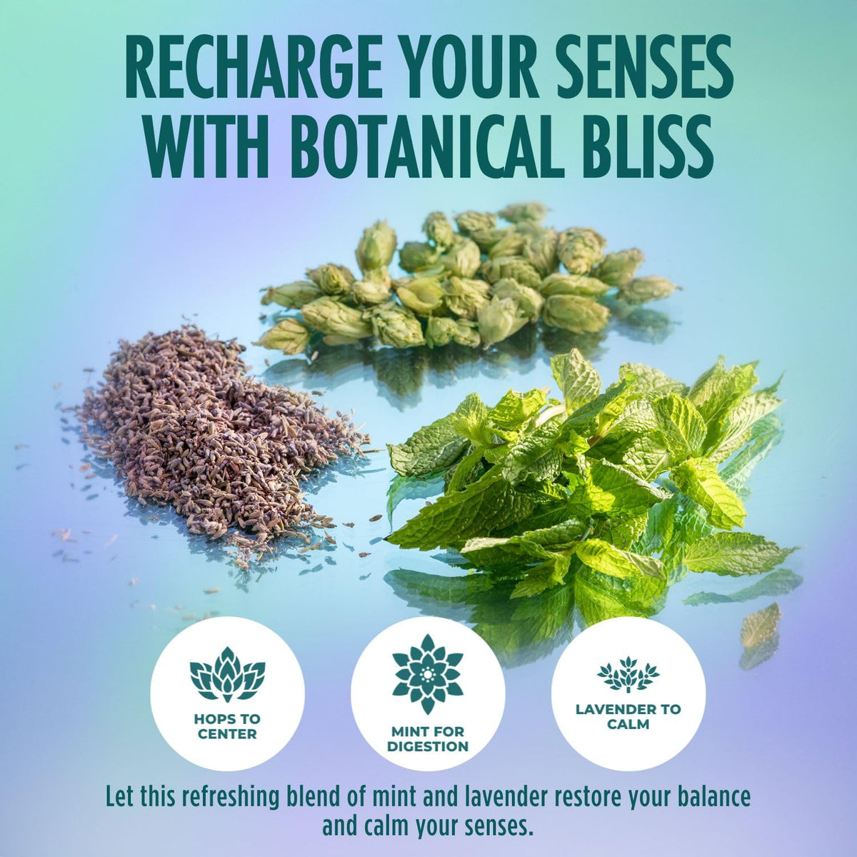 BrightLeaf Mint Lavender Sparkling Tea leaf-batch close-up emphasizes organic, regenerative ingredients.