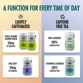 BrightLeaf Mint Lavender Sparkling Tea mint-lavender-flowers detail evokes calming botanical aroma.