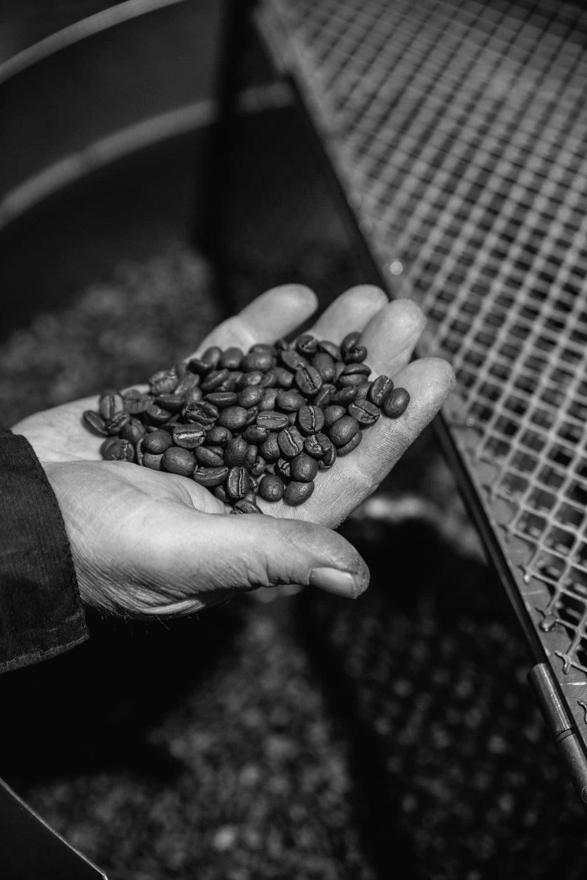 Bristot Cremoso capsules tin-angle showcases convenient Lavazza Blue compatibility