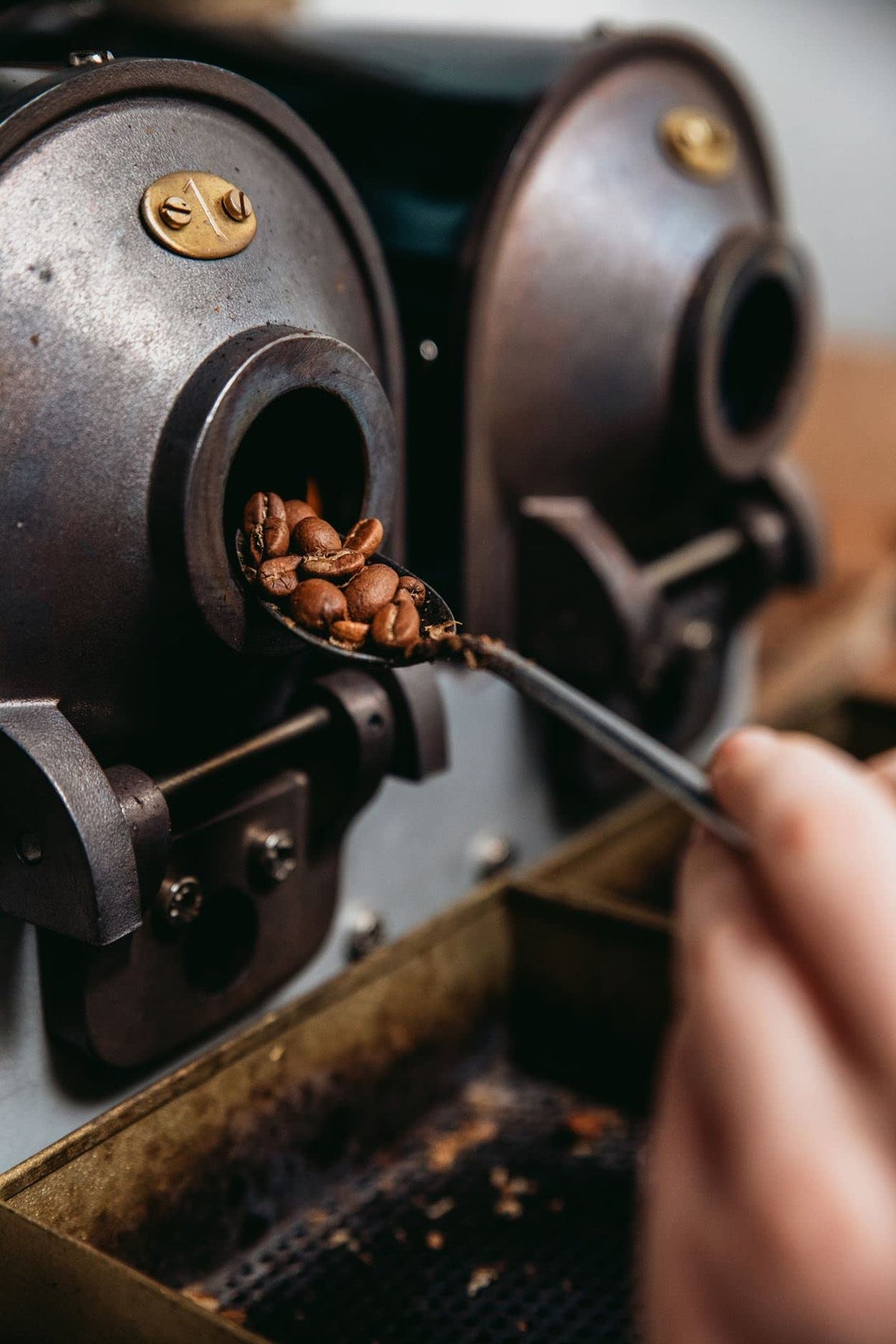 Bristot Decaf Italian coffee beans aroma revealing inviting chocolate-spice notes.