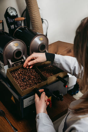 Bristot Speciale Arabica-Robusta blend, a balanced profile for expressive espresso