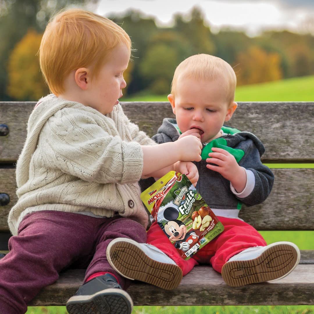 Brothers All Natural 100% Fuji Apple crisps, no additives.