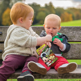 Brothers All Natural 100% Fuji Apple crisps, no additives.