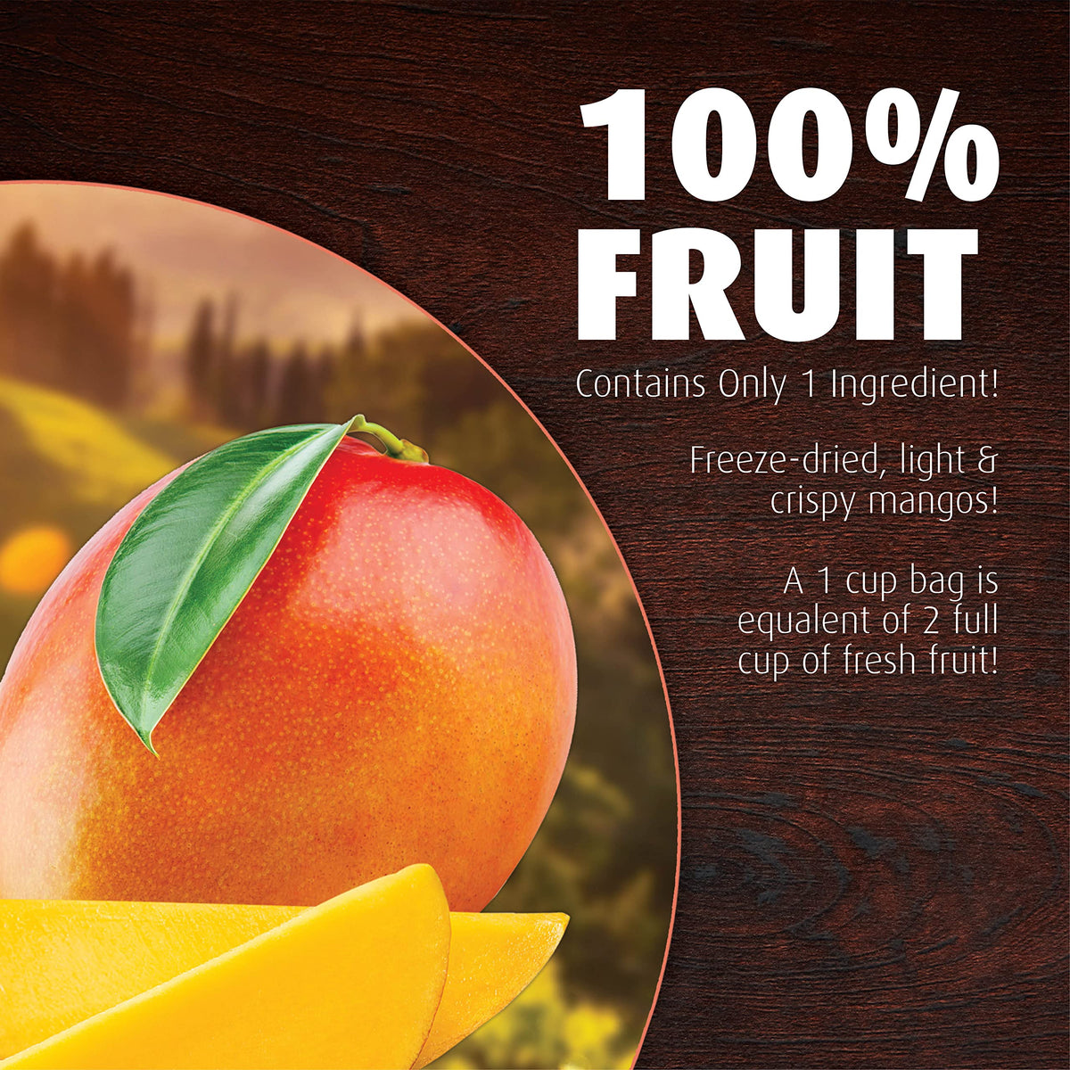Brothers All Natural mango crisps as yogurt topping.