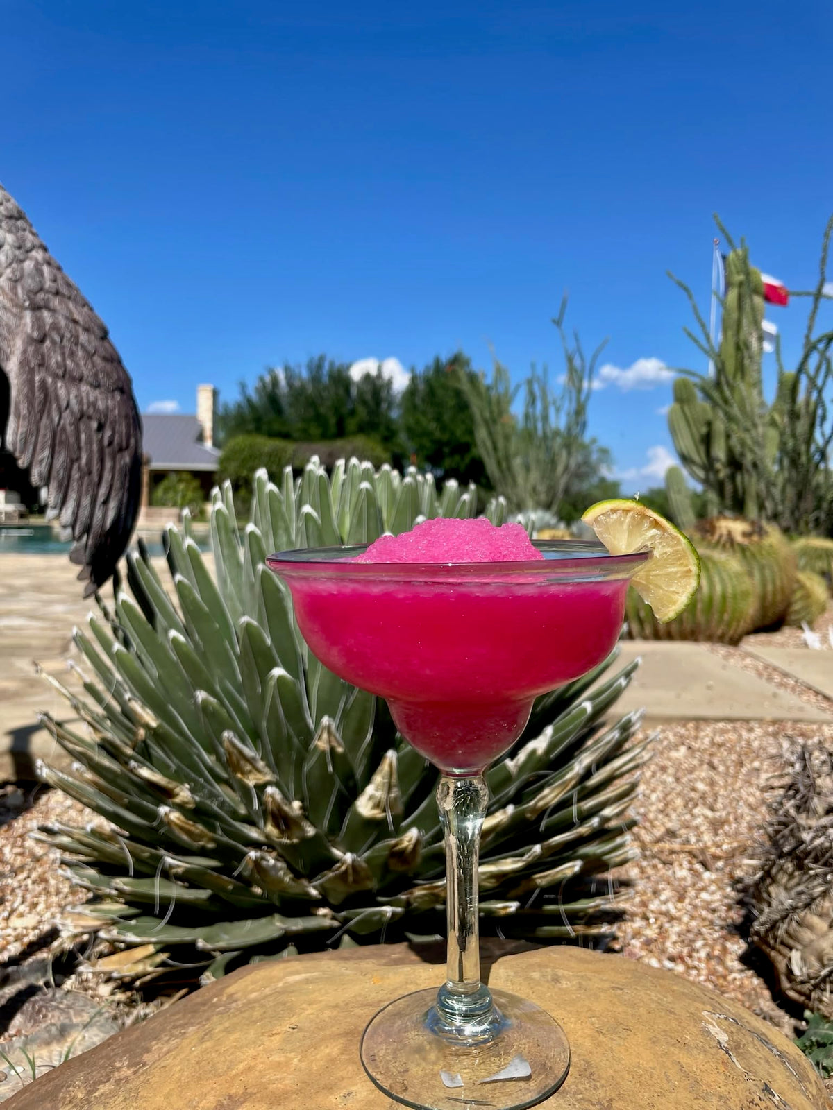 Brushfire Farms Handpicked Texas prickly pear with syrup for authentic flavor.
