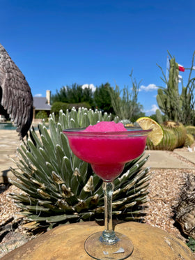 Brushfire Farms Handpicked Texas prickly pear with syrup for authentic flavor.