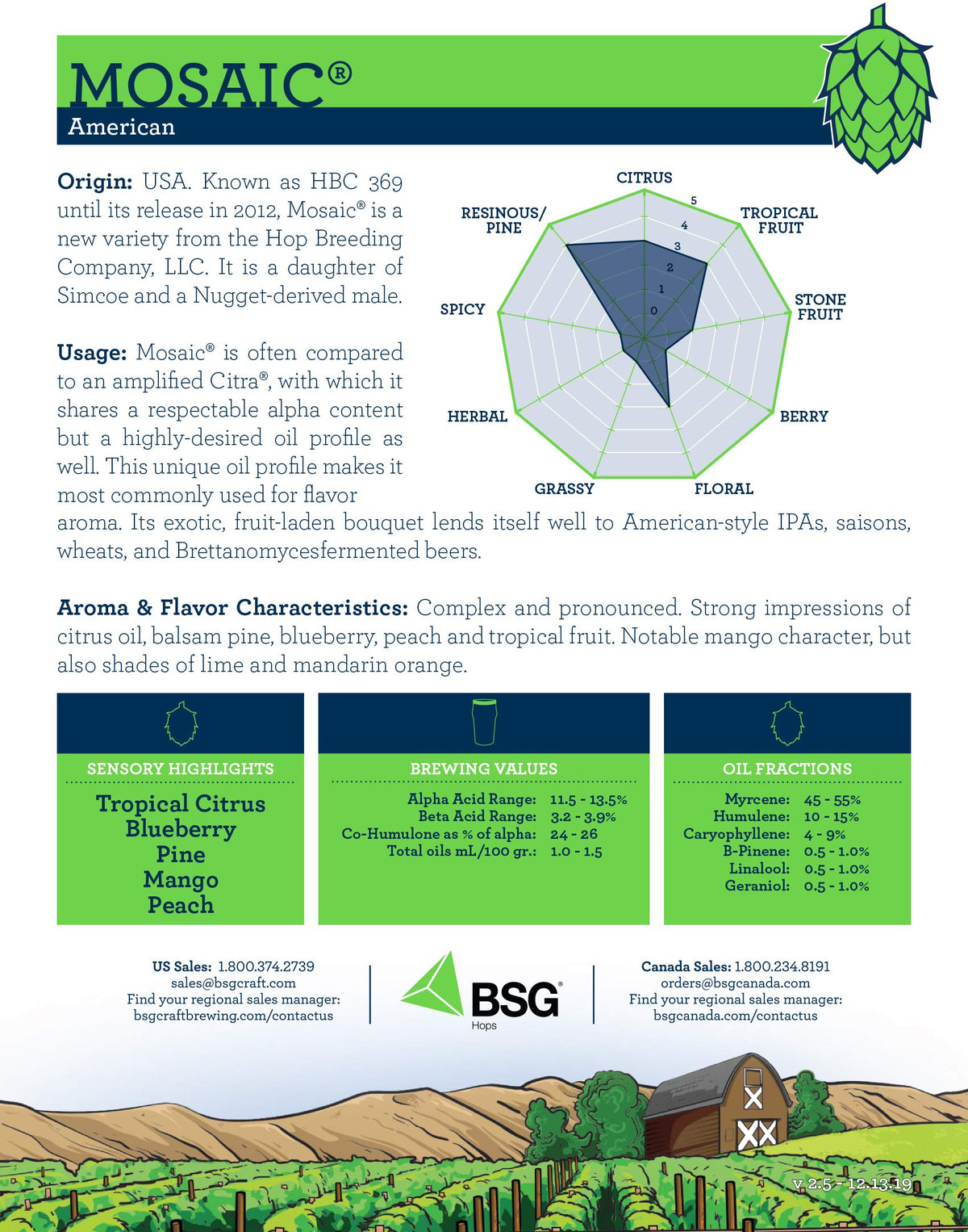 BSG Mosaic Hop Pellets aroma notes closeup highlight citrus, berry, and tropical hints.
