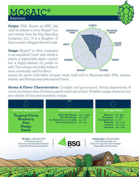 BSG Mosaic Hop Pellets aroma notes closeup highlight citrus, berry, and tropical hints.