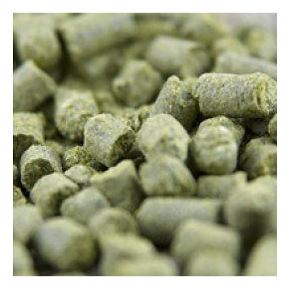 BSG Mosaic Hop Pellets brewing setup image suggests versatile use in modern styles.