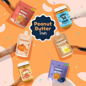 Portable Buddy Budder snack for on-the-go dogs