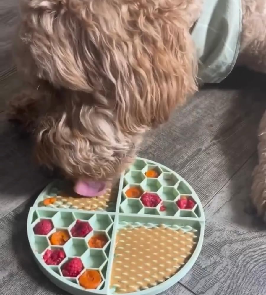 Buddy Budder enrichment toy filled for mental stimulation