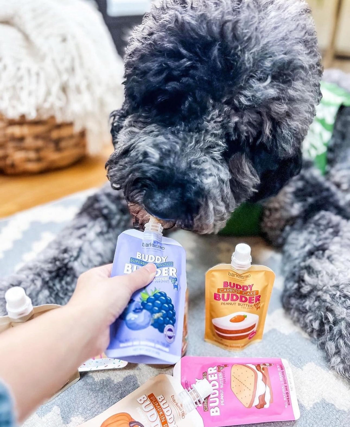 Assorted Buddy Budder flavors keep dogs engaged during activities.