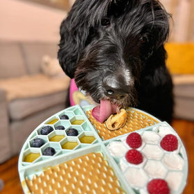 Buddy Budder on a lick mat for canine enrichment and focus