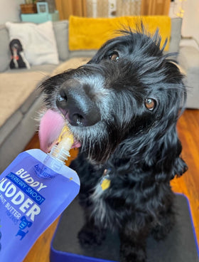 Buddy Budder used in pill pockets for easy administration