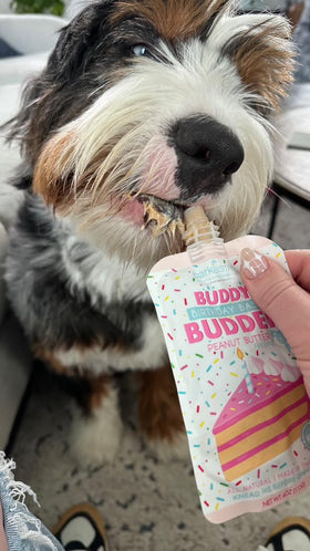 Buddy Budder travel-friendly treats during a walk or road trip