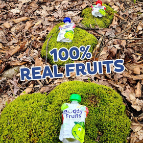 Buddy Fruits pantry-friendly 18-pack of pouches