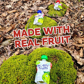 Buddy Fruits Snacks To Go nuts-free snack for nut-free classrooms and lunches