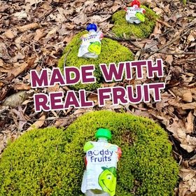 Buddy Fruits travel-friendly snack pouch tucked into a bag