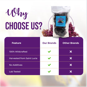 BUIE sea moss facial mask for skin nourishment