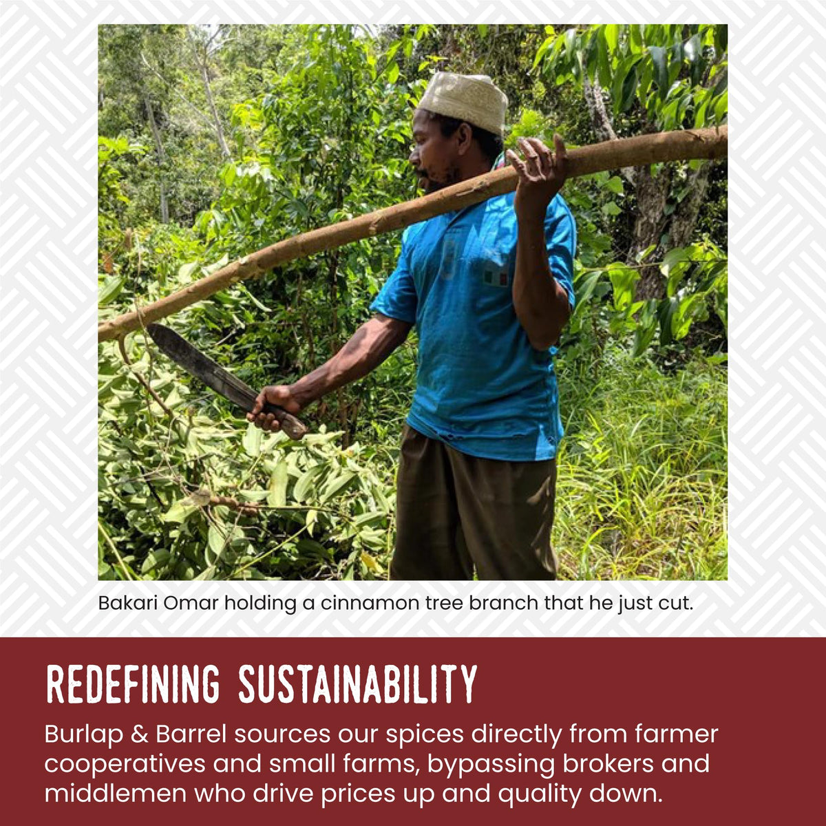 Farm-origin label on Burlap & Barrel Cinnamon Verum, emphasizing direct-from-farm sourcing.