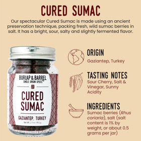 Burlap and Barrel cured sumac berries close-up shows wild origin and vivid tart notes.