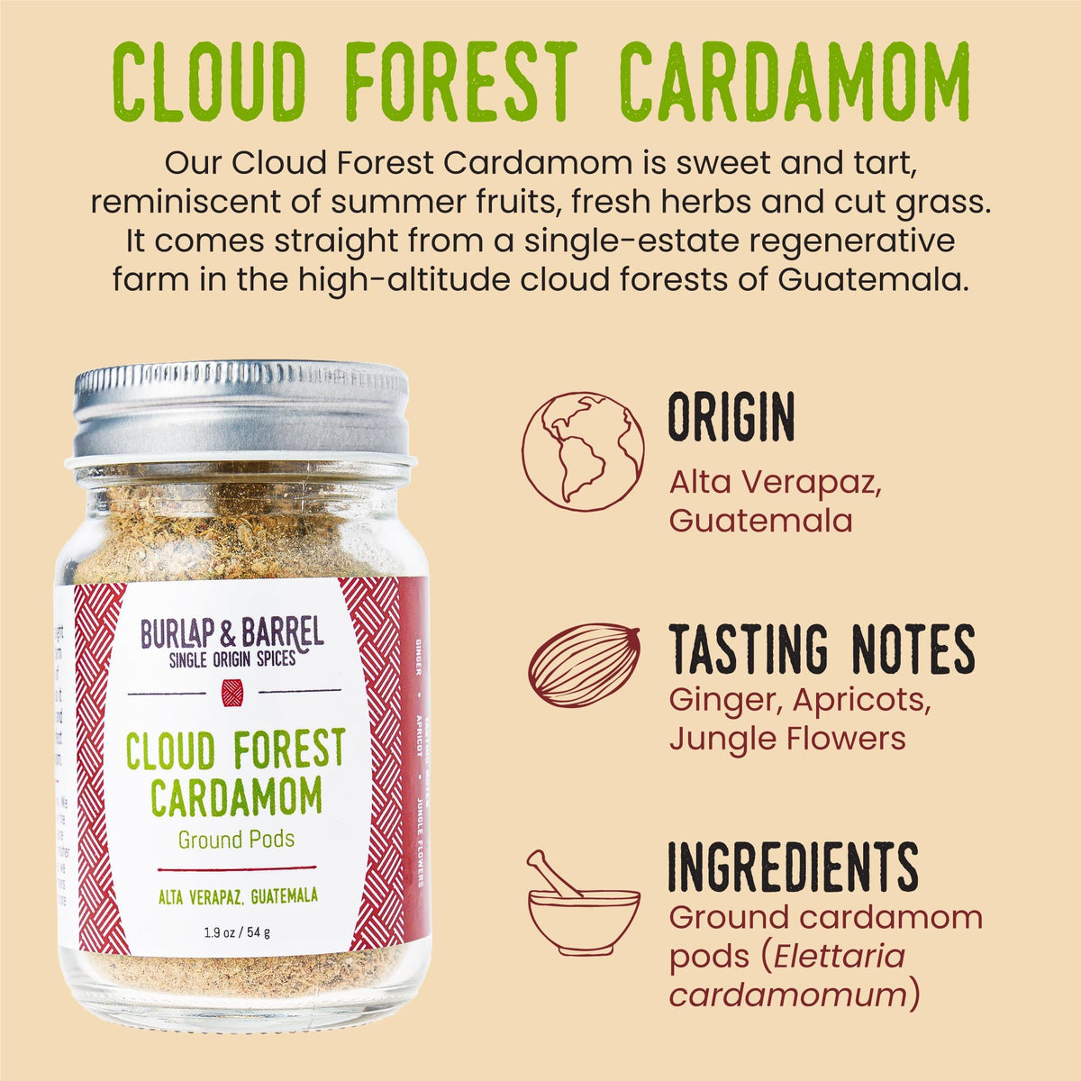 Burlap and Barrel hand-picked cardamom pods deliver fragrant, aromatic spice blends.