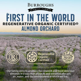 Close-up of Burroughs Family Farms almonds showing dry-roasted texture and light salt