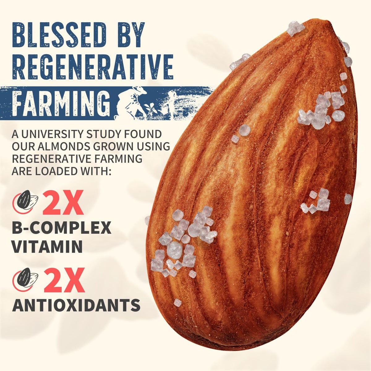 Kitchen scene featuring Burroughs Family Farms almonds ready for recipes