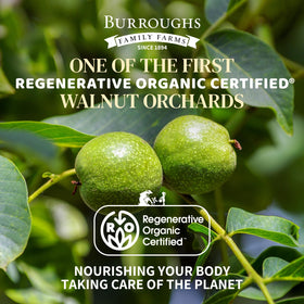 Burroughs walnuts raw pieces, perfect for toppings and baking with buttery texture.