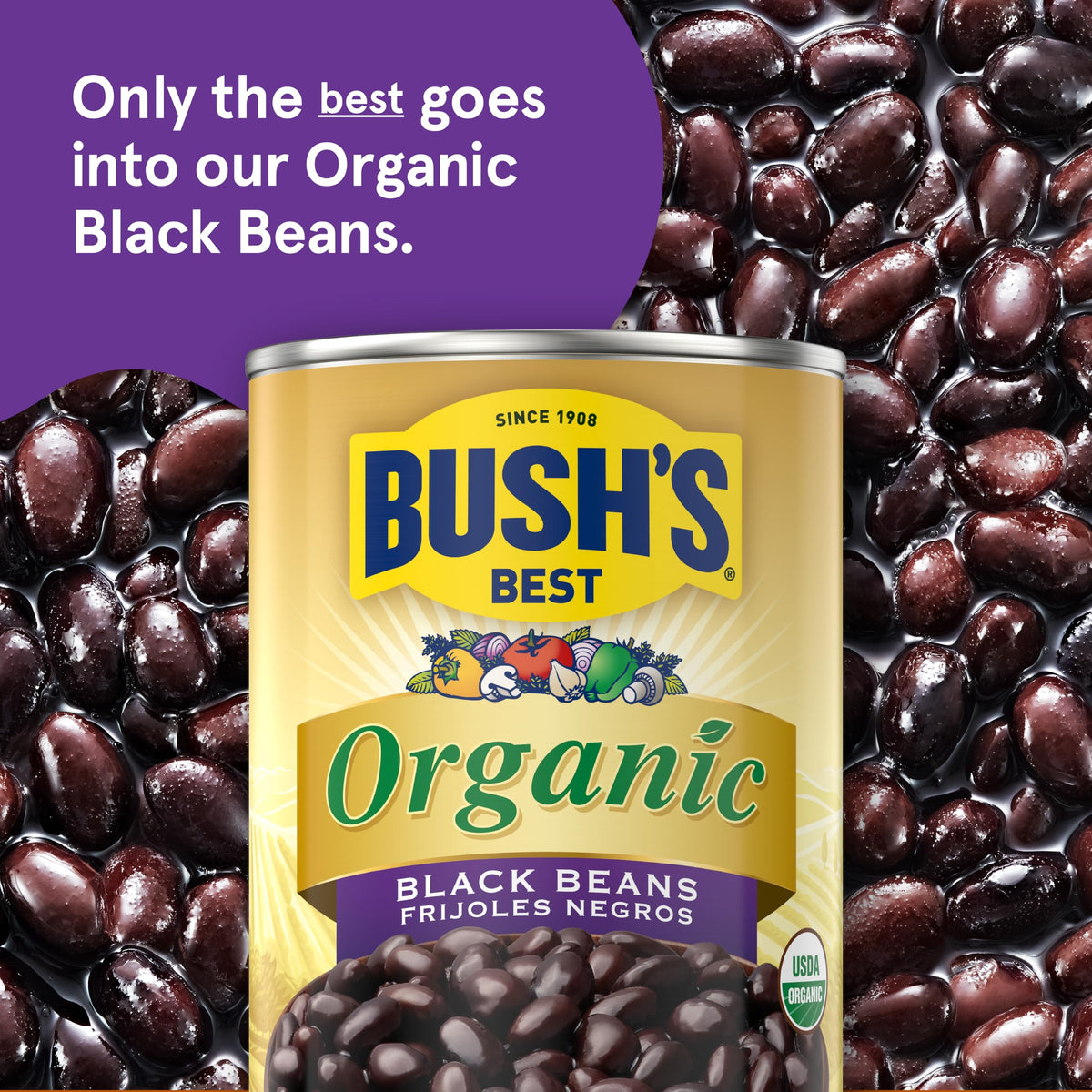 Creamy dip with Bush's Best Organic Black Beans and tortilla chips.