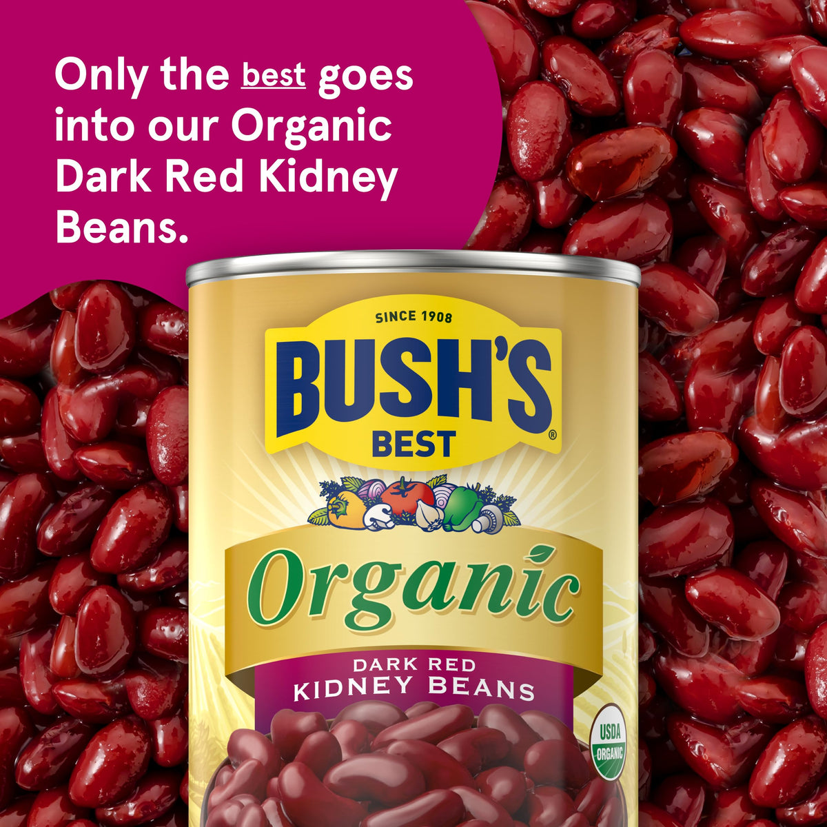 Bush's Best Organic Kidney Beans in a serving bowl, versatile for chili, rice or salads