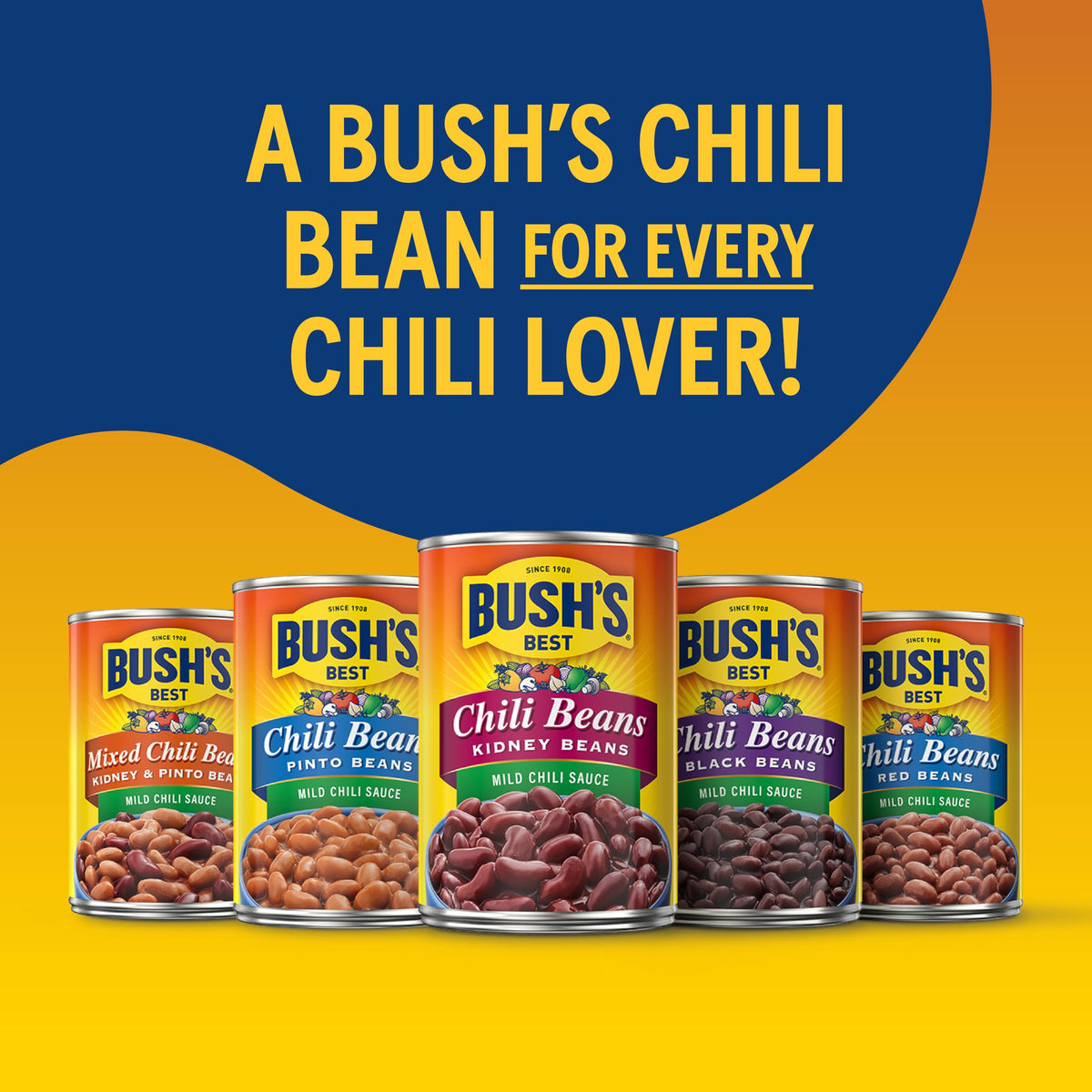 Bush's Best ready-to-heat pinto beans in medium chili sauce for easy meals.