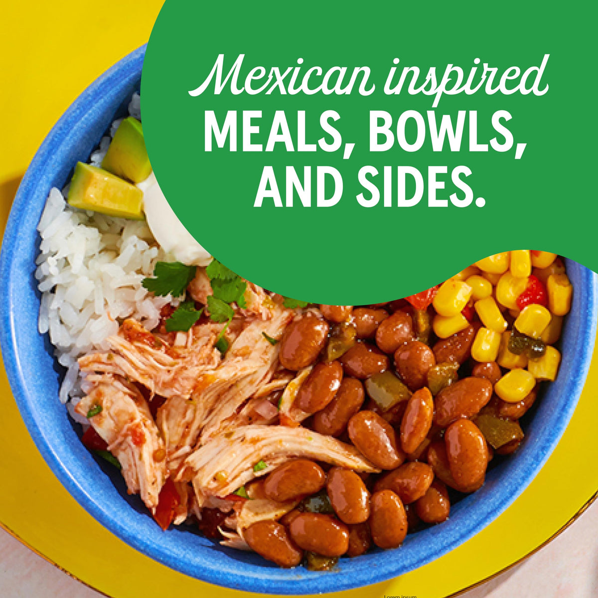 Bush's Best Pinto beans on rice bowl demonstrate fiber-forward meal option