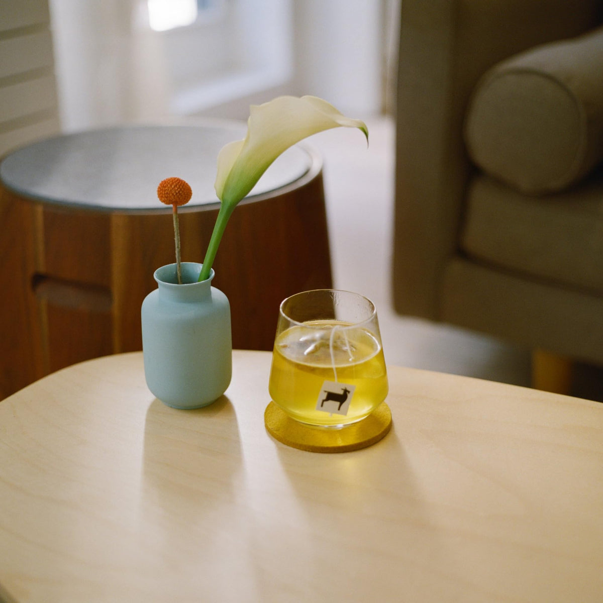 Bushwick Tea ginger turmeric sachet packaging highlights plant-based, plastic-free design for eco-conscious sipping.