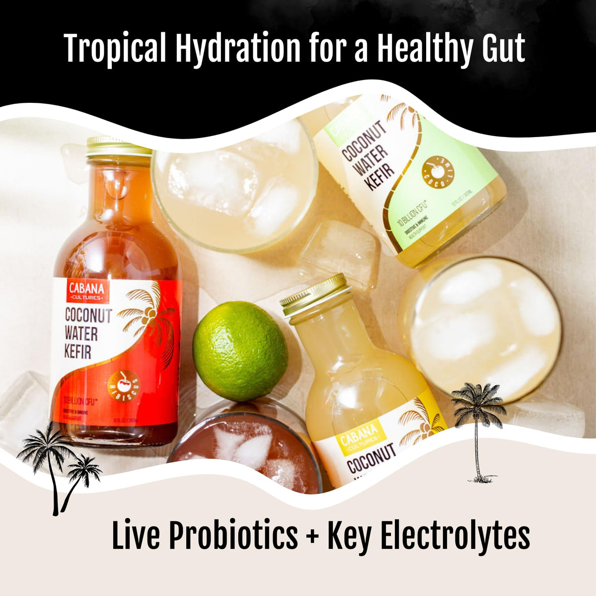 Cabana Cultures coconut water kefir provides 600mg electrolytes.