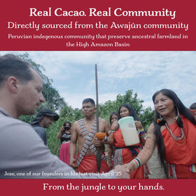 Cacao Adventures regenerative farming practices supporting sustainable cacao
