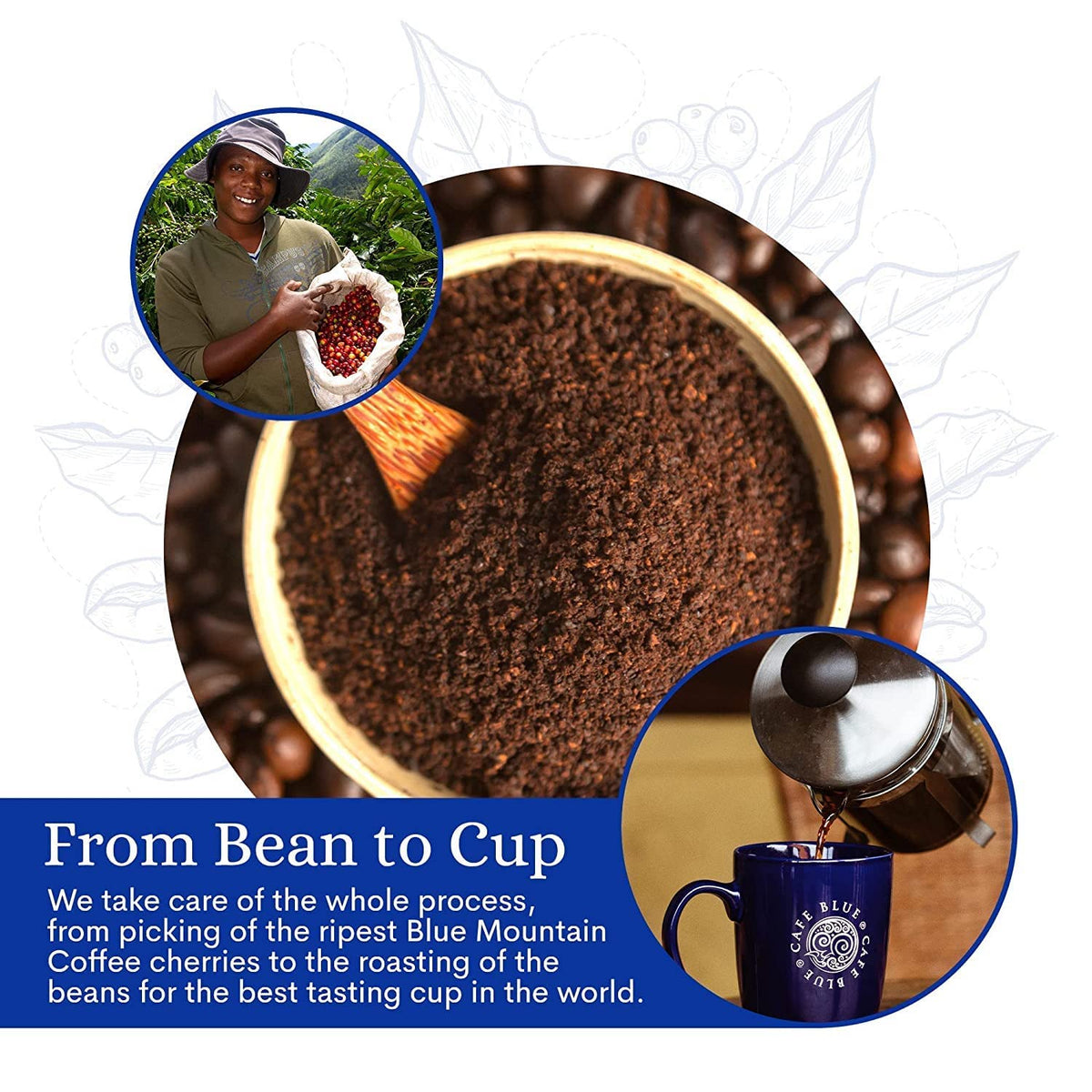 Cafe Blue packaging and brand logo showcasing premium quality