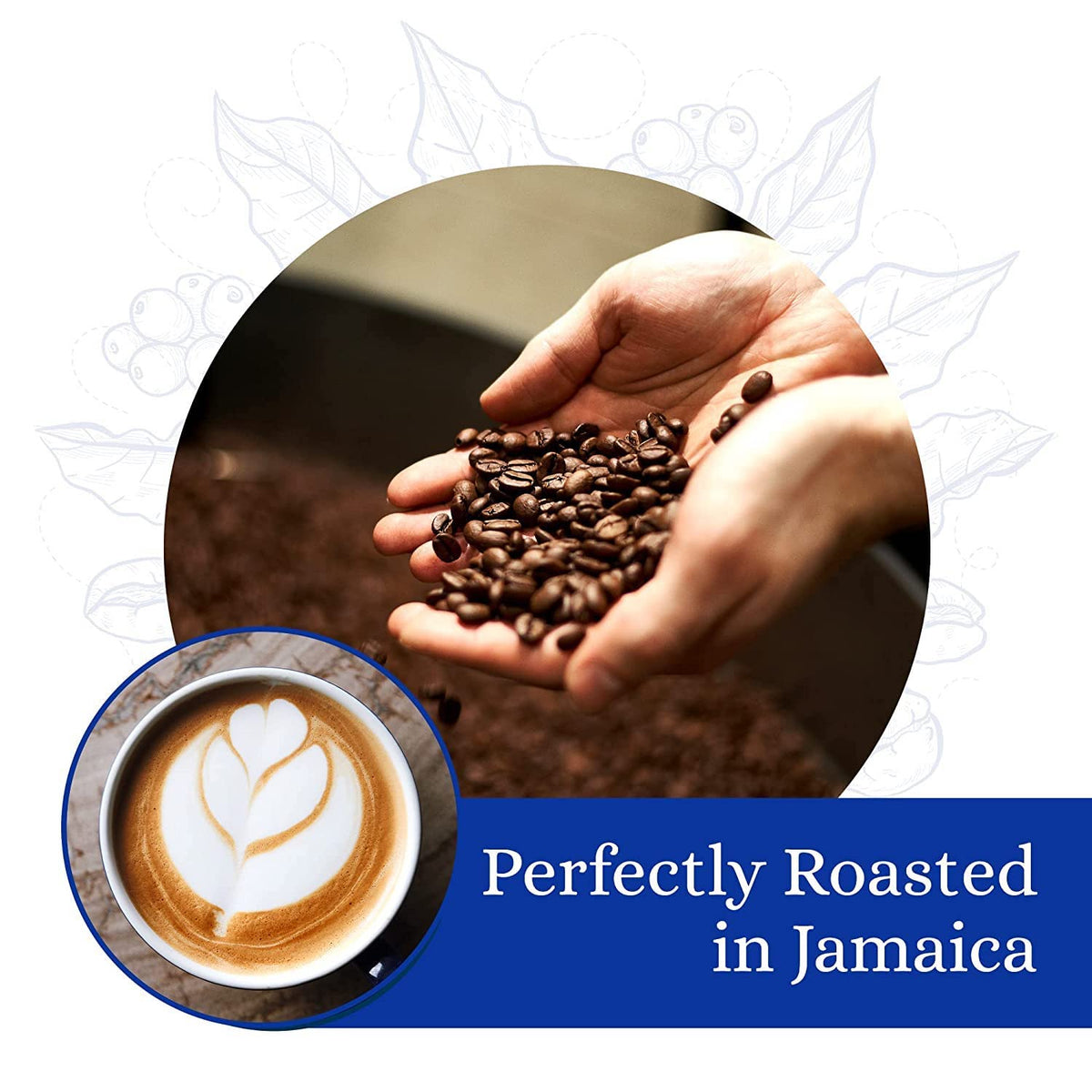 Cafe Blue roasted beans close-up highlighting chocolate notes