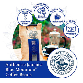 Cafe Blue sweet aftertaste emerging in a well-extracted cup