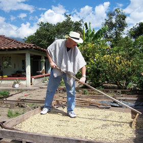 Cafe Don Pablo Subtle Earth decaf Swiss Water process badge indicates gentle decaffeination.