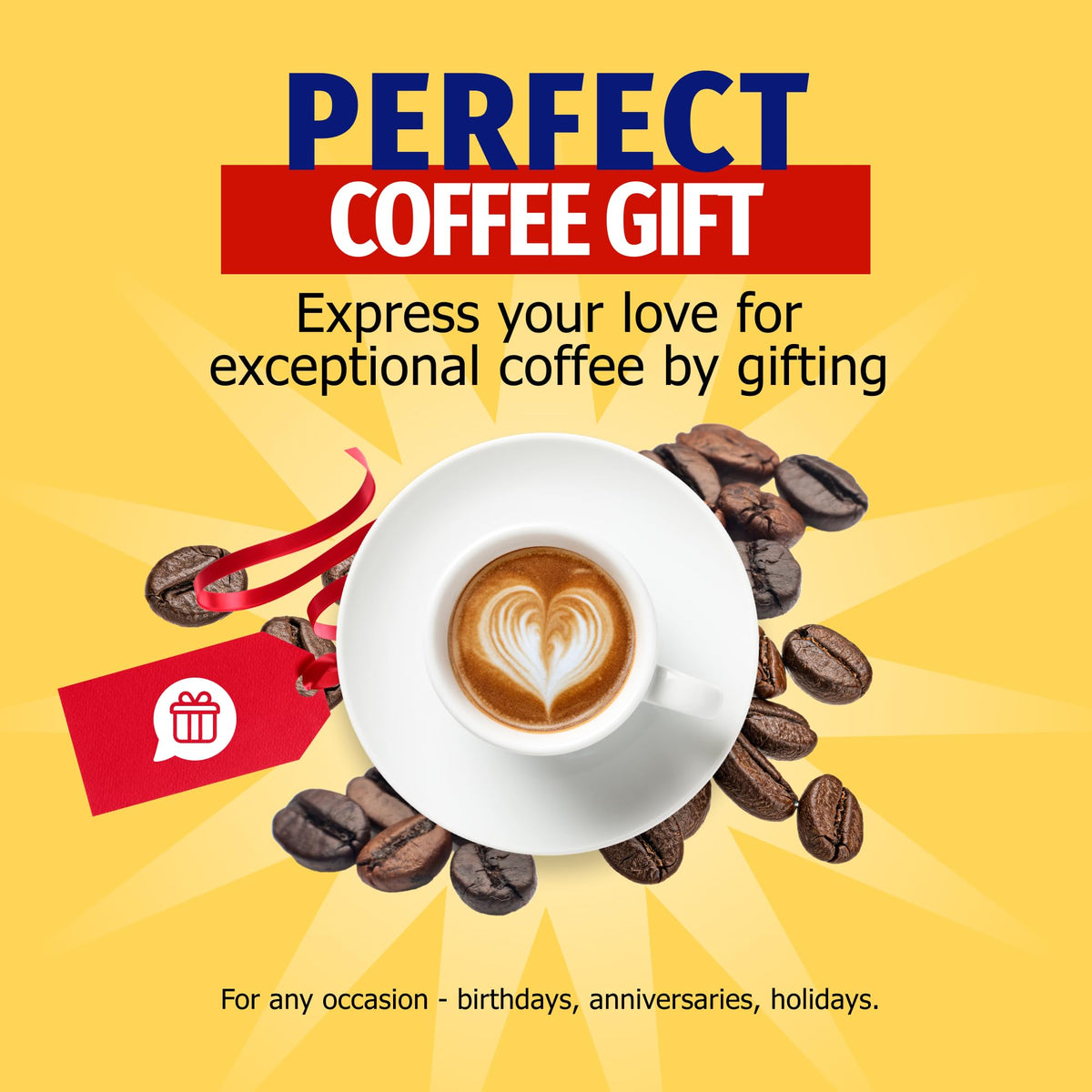 Cafe El Morro ground coffee close-up on premium beans ready to grind