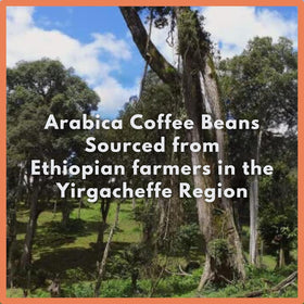 Cafe Grumpy Ethiopia Yirgacheffe ground coarse shows ideal grind for French press and texture.