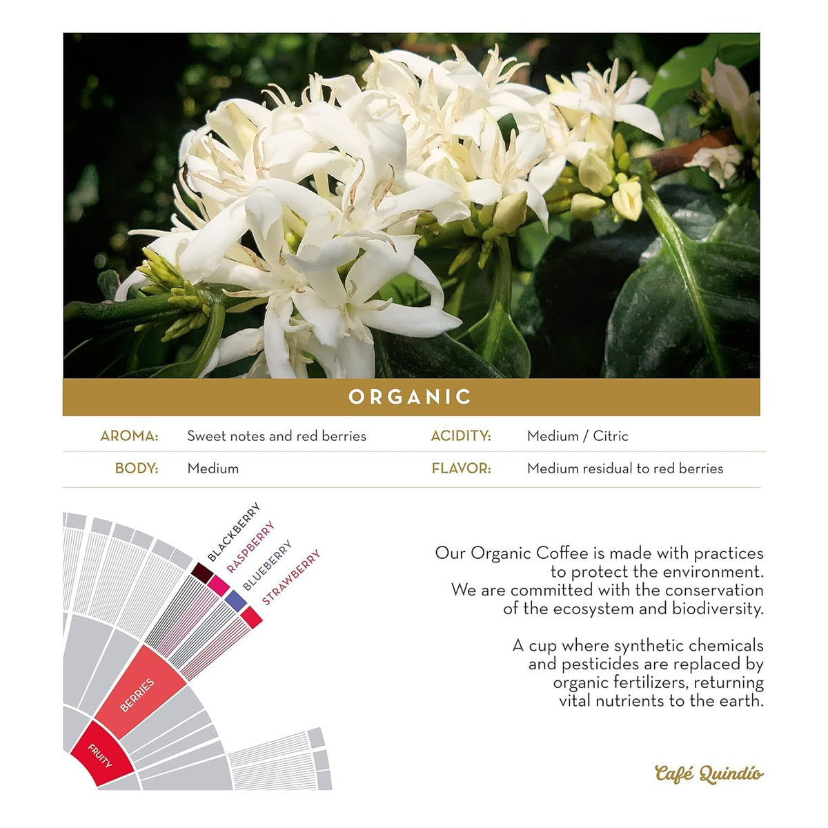 Cafe Quindio Excelso certification label confirms quality and origin.