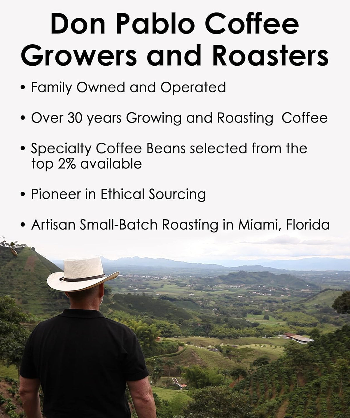 Cafe Don Pablo Brazil Cerrado cup shows chocolate notes and balance