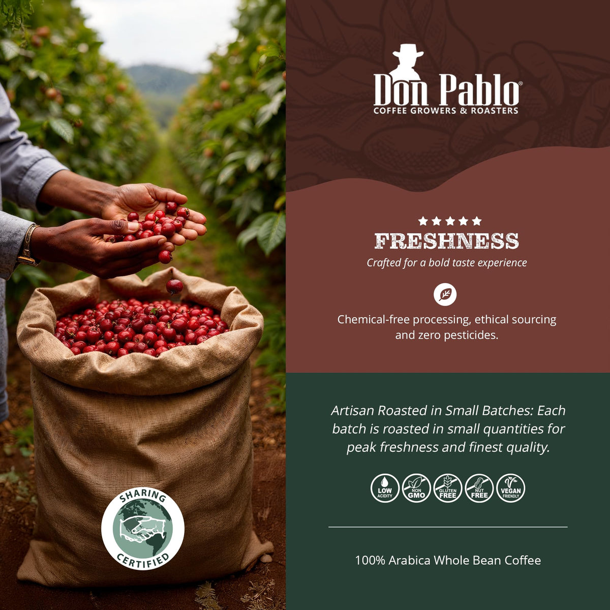 Cafe Don Pablo bold yet low-acidity profile for a smooth morning drink.